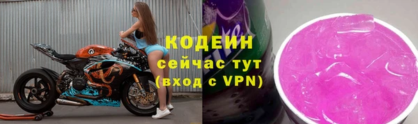 стаф Вяземский