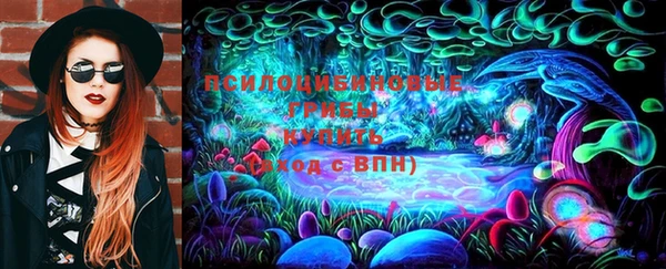 МДПВ Верея