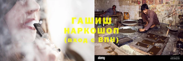ГАЛЛЮЦИНОГЕННЫЕ ГРИБЫ Горно-Алтайск