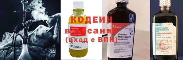ГАЛЛЮЦИНОГЕННЫЕ ГРИБЫ Горно-Алтайск