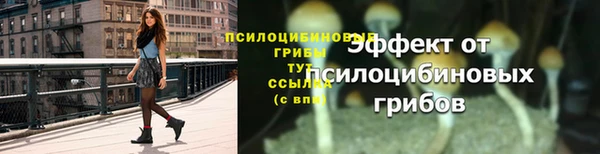 МДПВ Верея