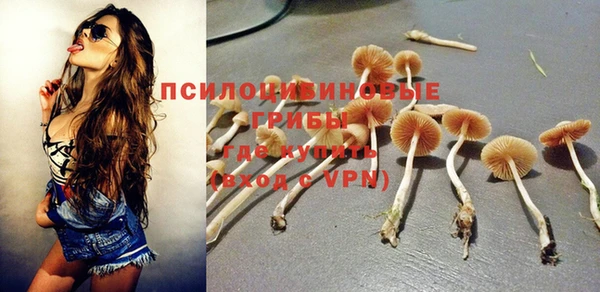 сатива Горнозаводск