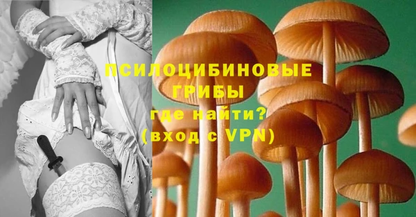 молекула духа Горняк