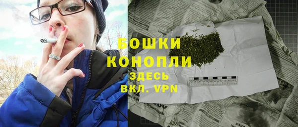 молекула духа Горняк