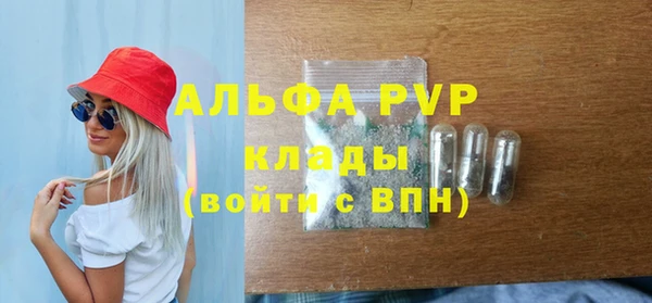 ГАЛЛЮЦИНОГЕННЫЕ ГРИБЫ Горно-Алтайск