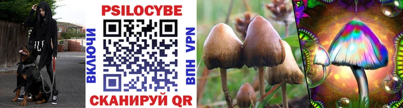 Псилоцибиновые грибы прущие грибы  Зверево 